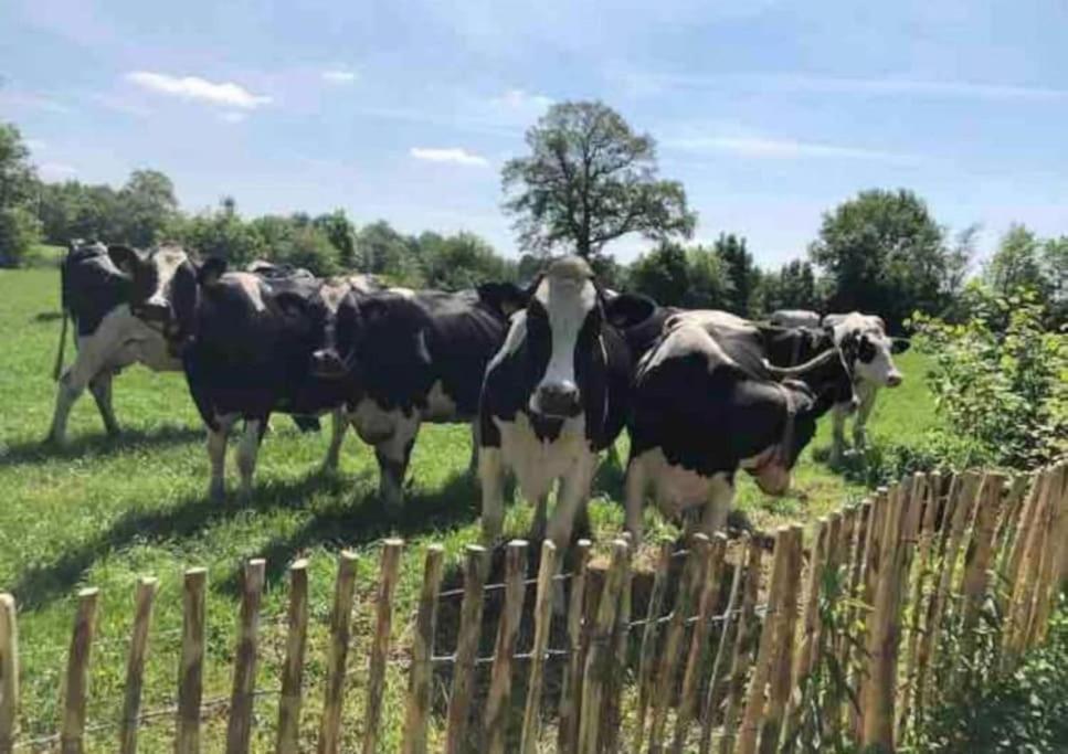 Вилла Statige Boerderijwoning Met Vrij Uitzicht En Tuin Hoogzand Экстерьер фото